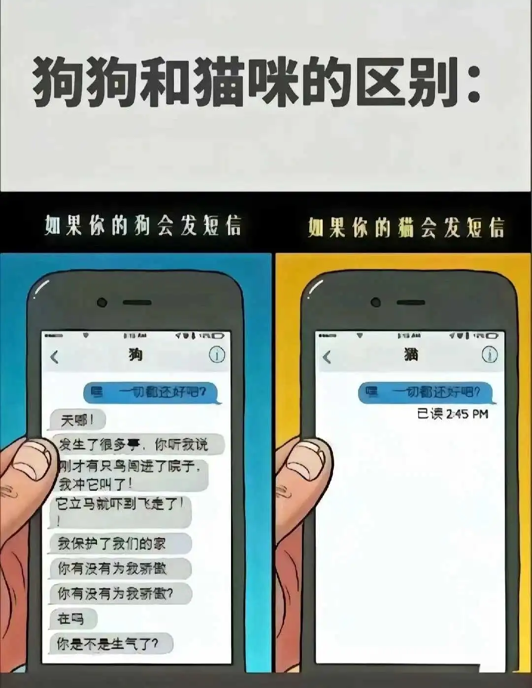 西檬之家k9犬系是什么?字母圈新人入圈指南 一
