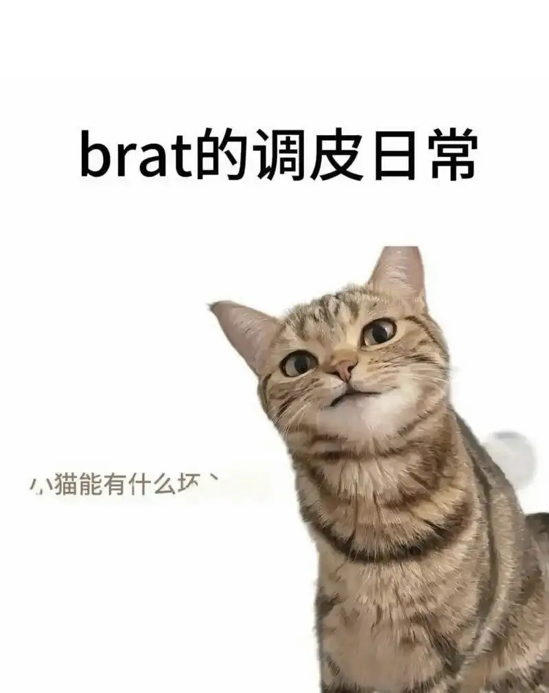 西檬之家字母圈Tickle实践指南 一