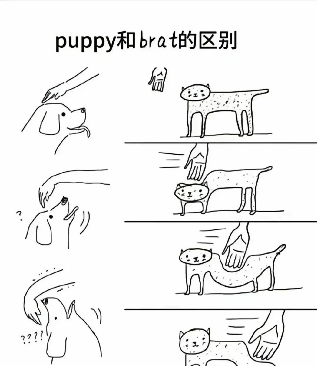 西檬之家字母圈入圈指南:新人必知的安全要点 一