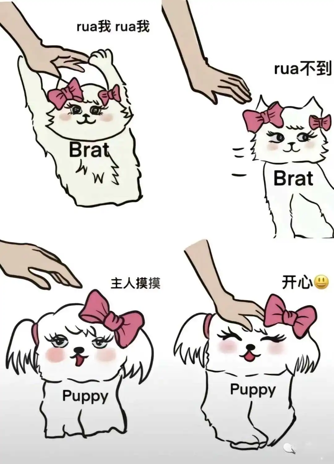 西檬之家k9是什么?字母圈新人科普 一