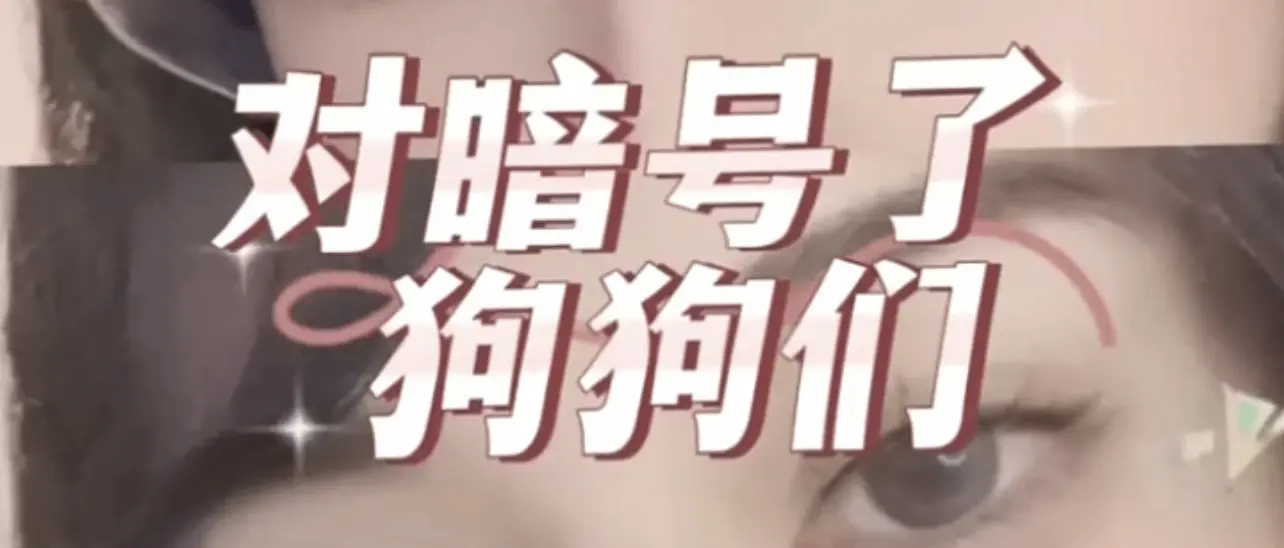 西檬之家Dirty Talk是什么?字母圈入门指南 一