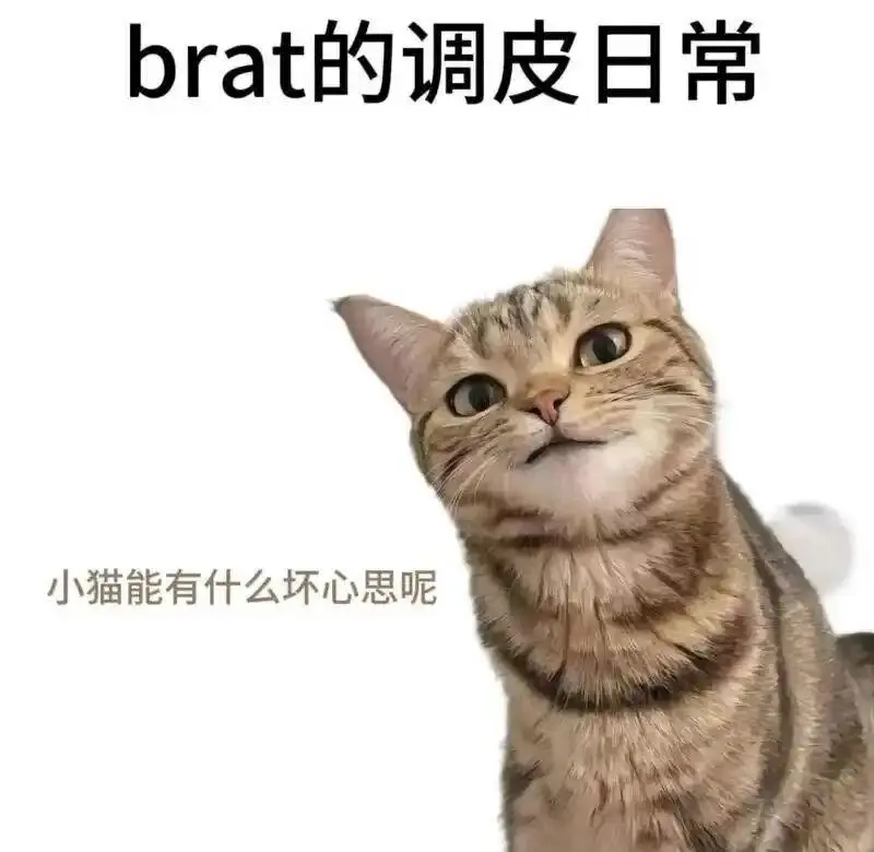 西檬之家s倾向是什么?字母圈新人必看 一