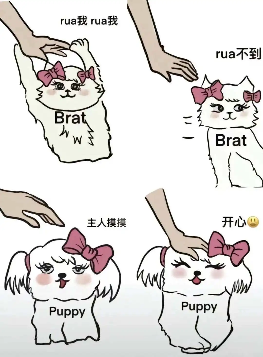 西檬之家圣水实践是什么?新人如何了解 一